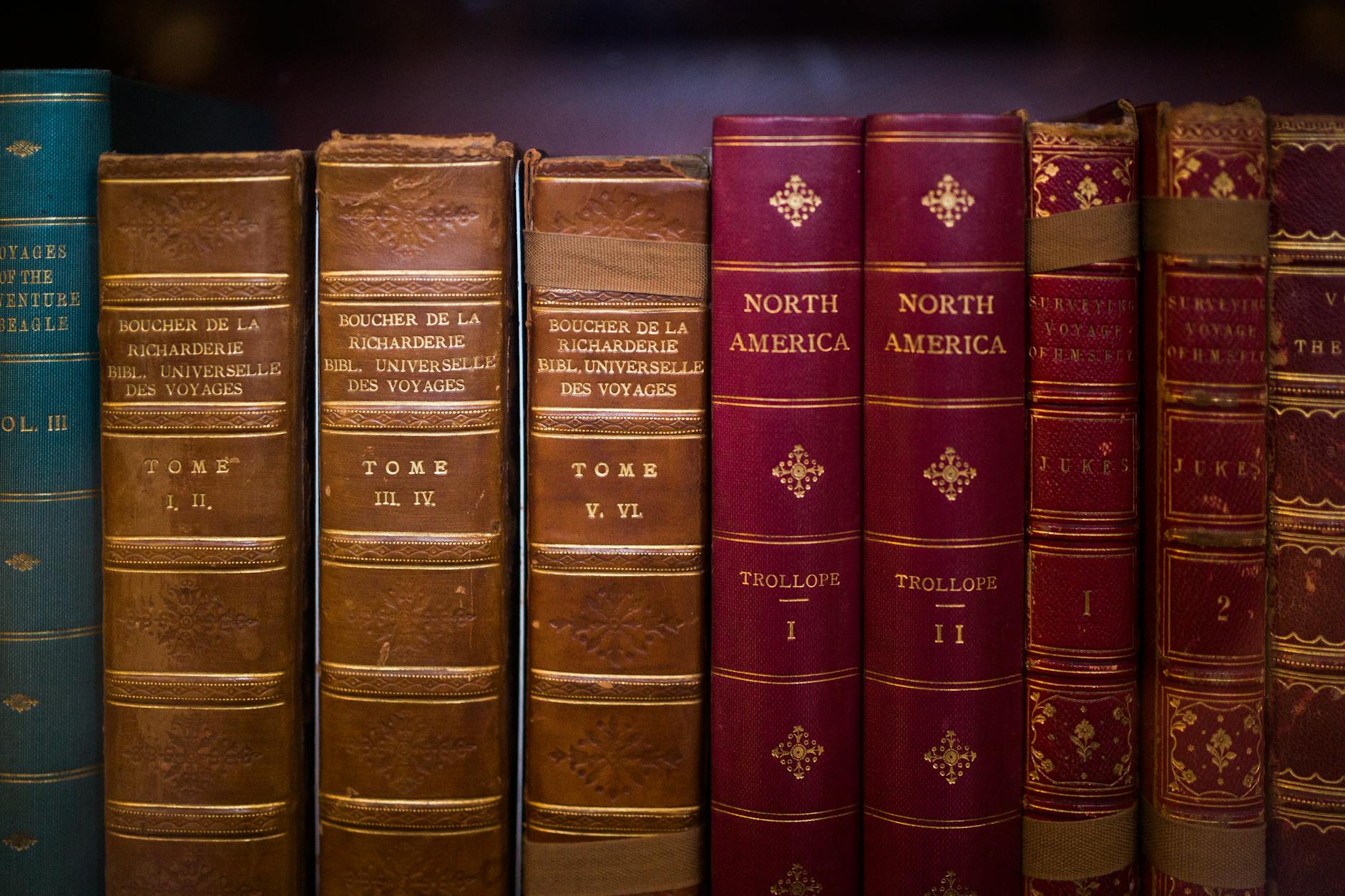 First Editions as Investment: The 2024 Rare Book Market Analysis