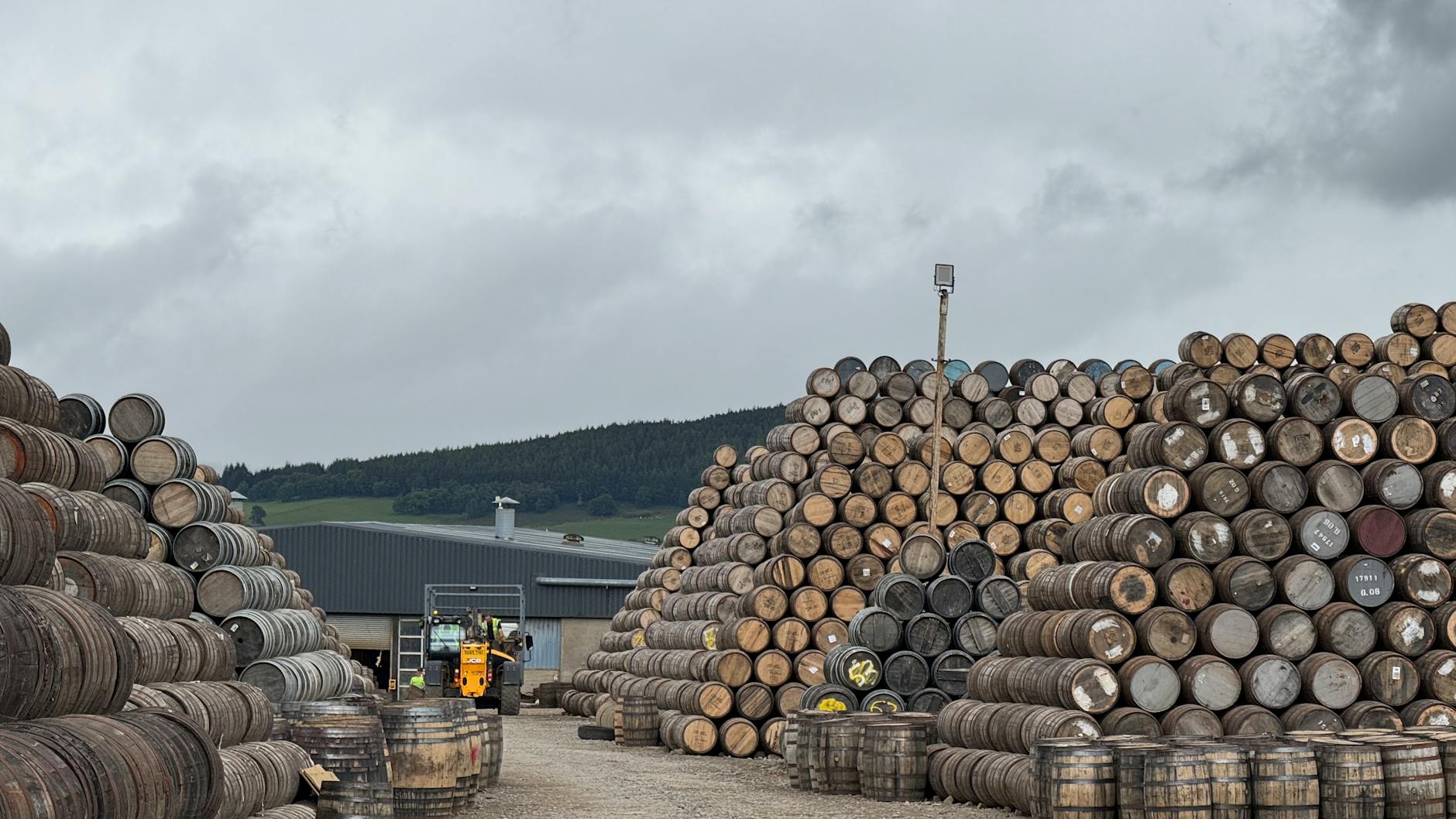 Asia Cask Report #1 — The Q2 2026 Entry Window, the India Catalyst, and Why the Fraud Narrative Is Your Friend