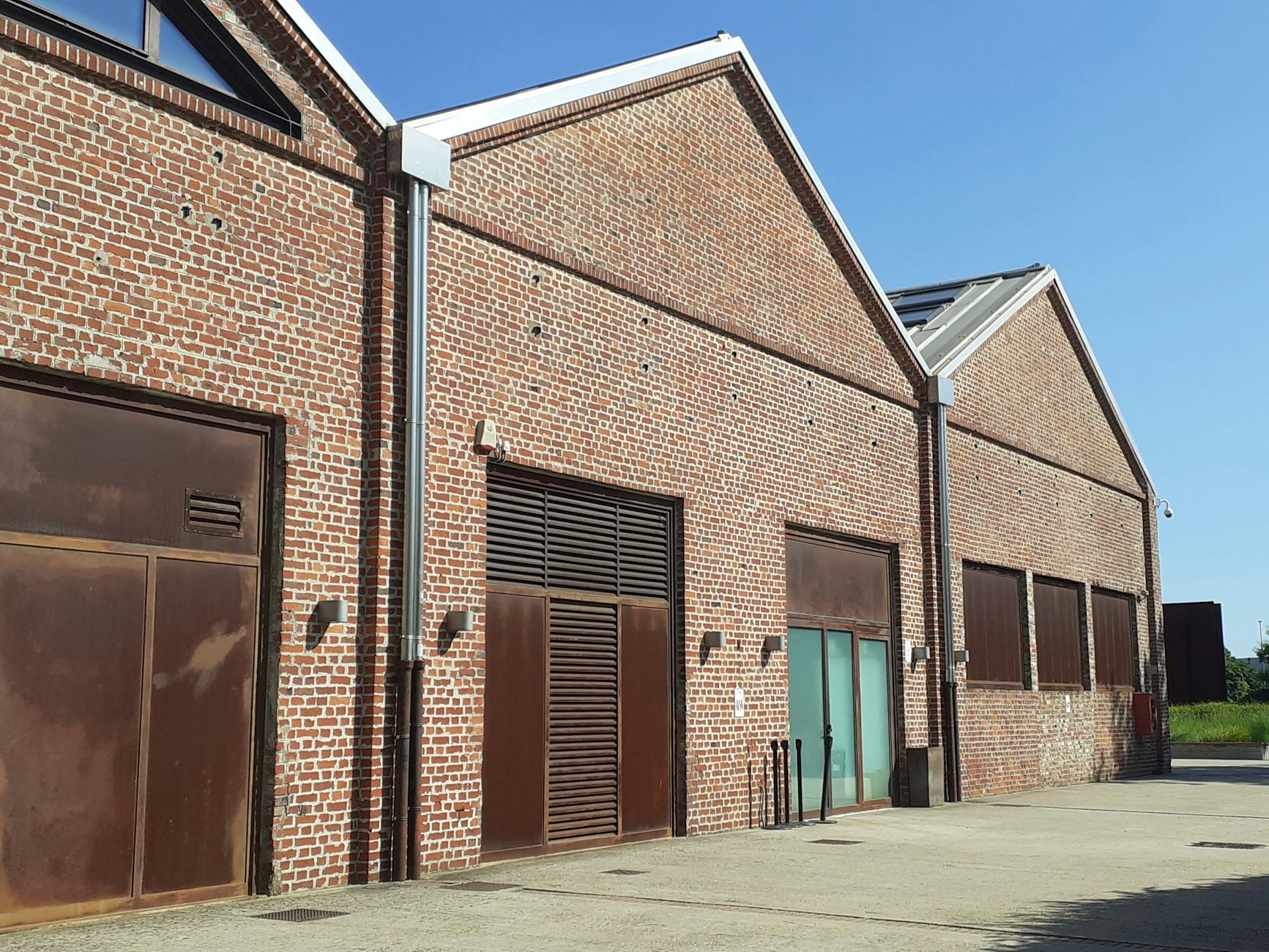 Why blueberry flavoured drinks are the next ones to watch