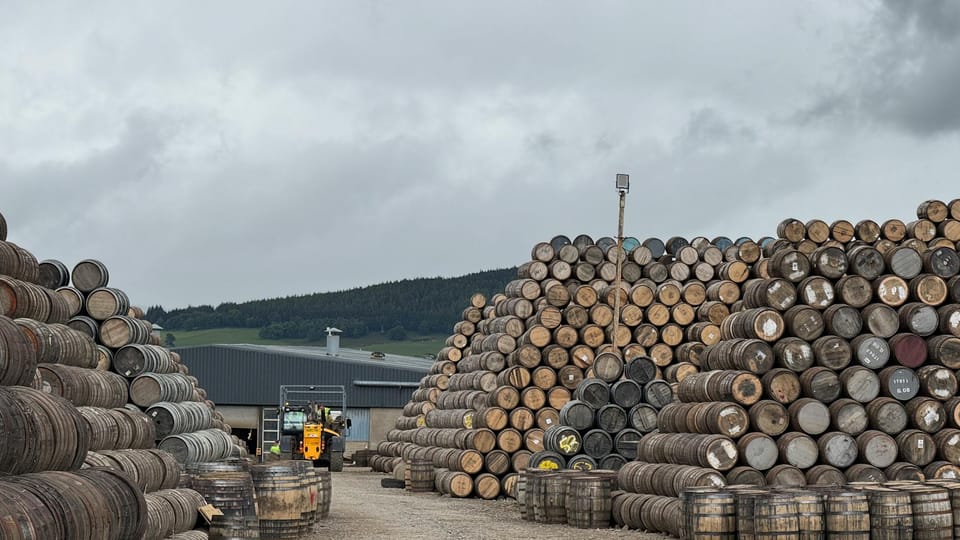 Asia Cask Report #1 — The Q2 2026 Entry Window, the India Catalyst, and Why the Fraud Narrative Is Your Friend